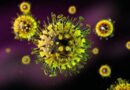 Nova variante de vírus da gripe detectada na China preocupa cientistas